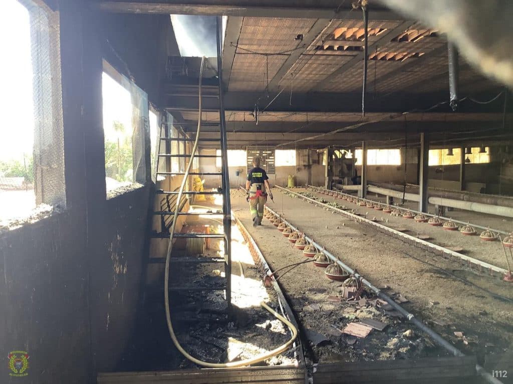 Mueren unos 7.000 pollos en un incendio originado en un criadero de Molvízar