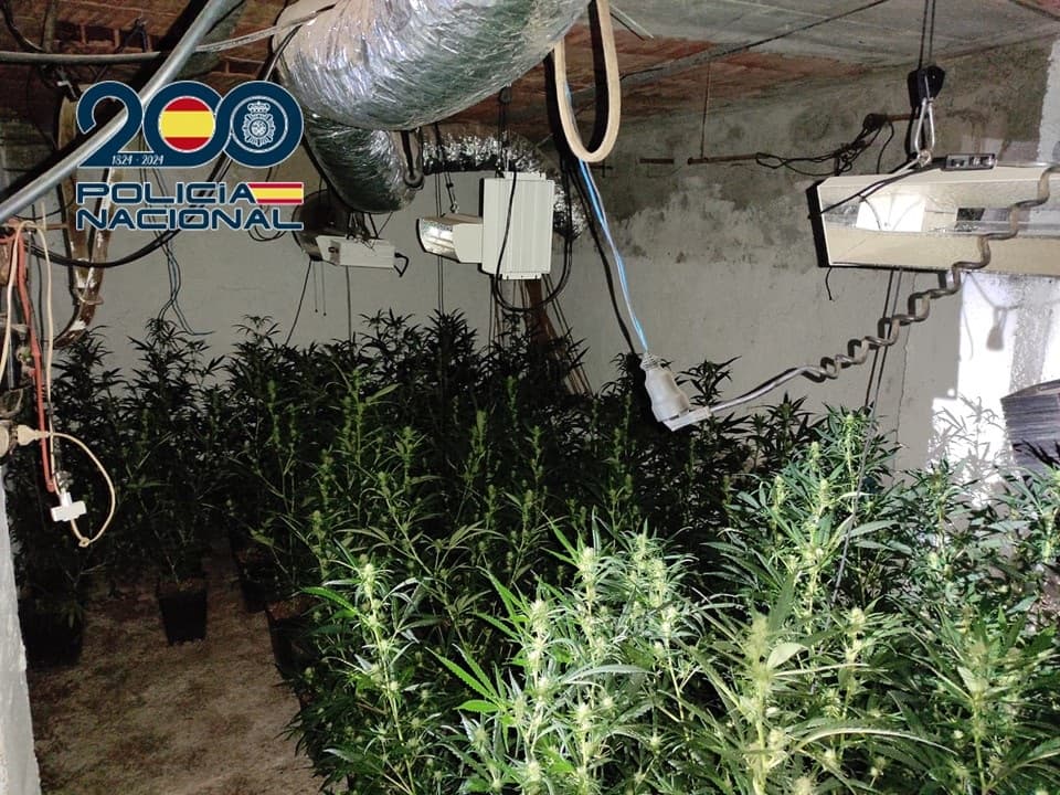 La Policía Nacional y la Guardia Civil desarticulan un centro de producción de marihuana en un gimnasio de Maracena