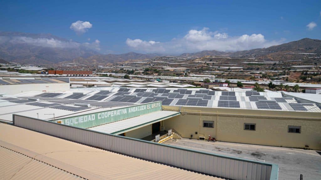 La cooperativa El Grupo culmina su plan energético con una instalación fotovoltaica que ahorra un 41% de energía