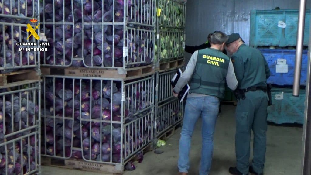 Desarticulado en Motril un grupo criminal que vendió dos millones de kilos de frutas y verduras como productos ecológicos