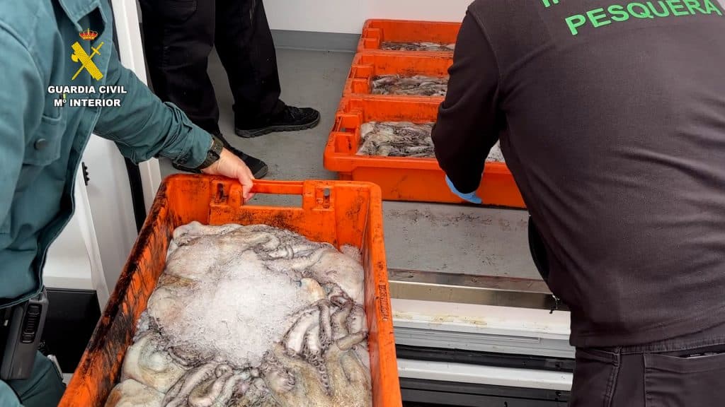 La Guardia Civil interviene más de 3.200 kilos de pulpo y 200 kilos de almeja