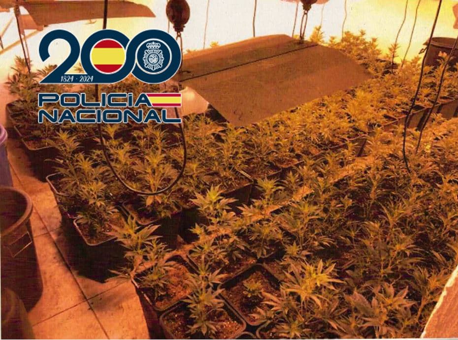 Desmantelada en Granada una plantación de interior incautando 160 plantas de marihuana y varias papelinas de cocaína