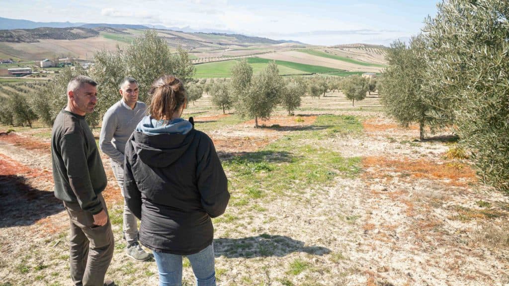 Expertos de FAECA asesoran en producción ecológica a 235 explotaciones de la provincia