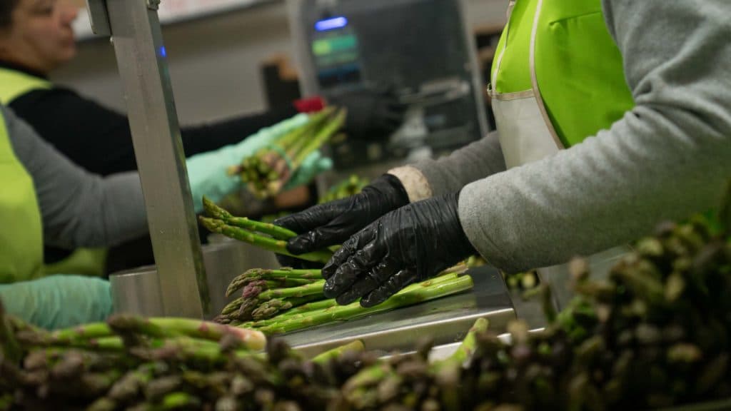 Diputación apuesta por el cooperativismo agrario con la iniciativa ‘Conectando con el Campo’