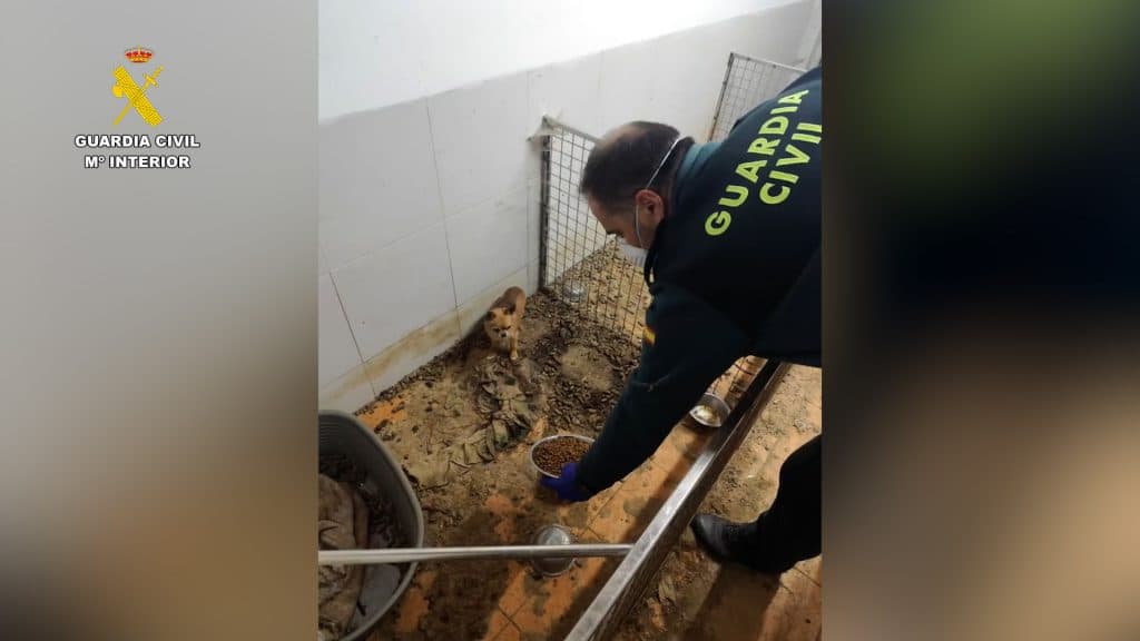 La Guardia Civil halla 250 cadáveres de animales en un criadero clandestino