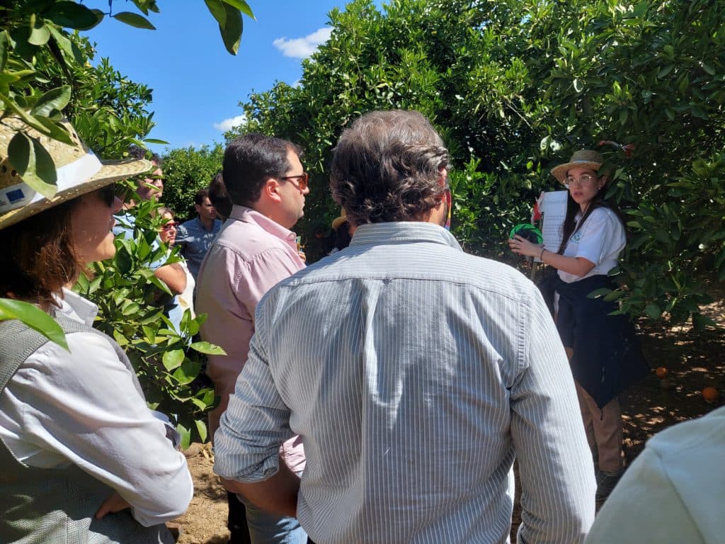 ‘DemoFarm Andalucía’ estrena web para ampliar la difusión de las herramientas digitales al campo
