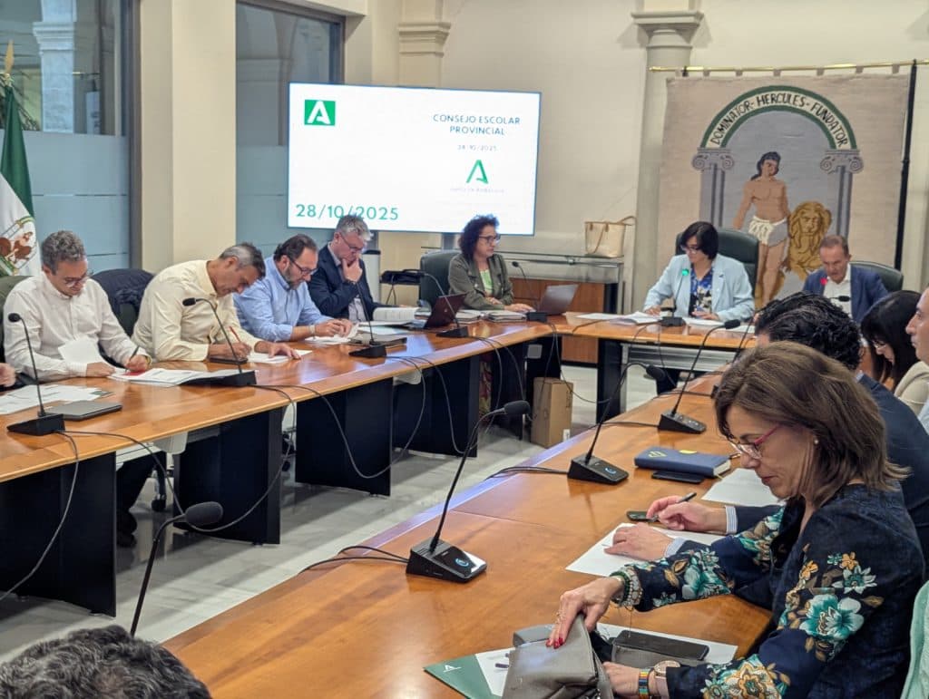La Junta destaca la «inversión histórica en educación» durante la reunión del Consejo Escolar Provincial