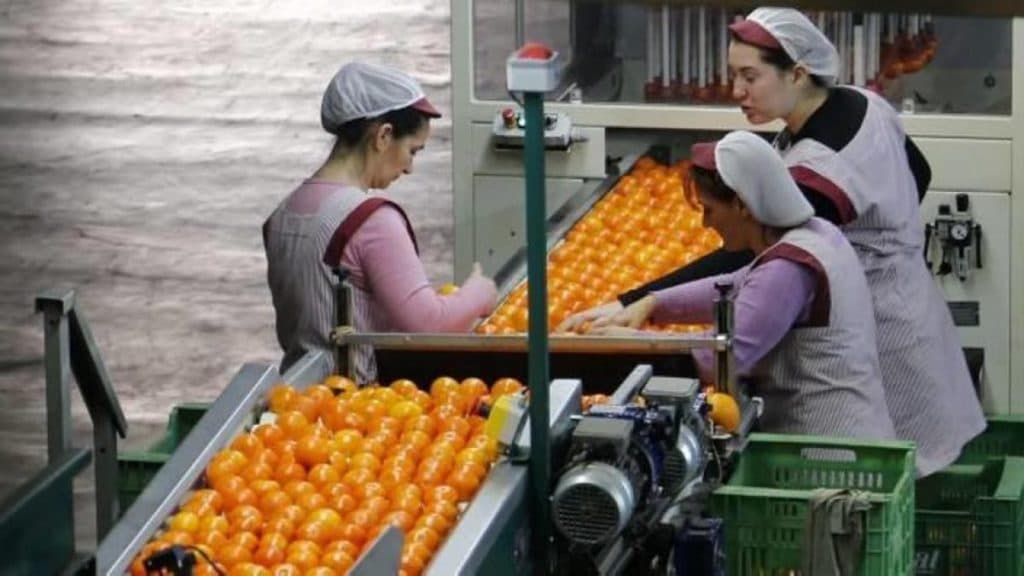 Protesta del sector del manipulado en defensa de su Convenio Colectivo de envasado de frutas y hortalizas
