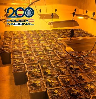 La Policía Nacional realiza en enero 13 operaciones antidroga en Granada, Baza y Motril que se saldan con 34 detenciones