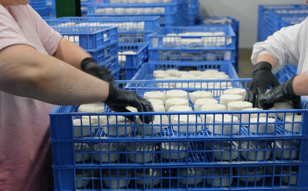 La Cámara de Comercio de Motril visita las instalaciones de Quesería Motril para conocer su modelo de éxito internacional