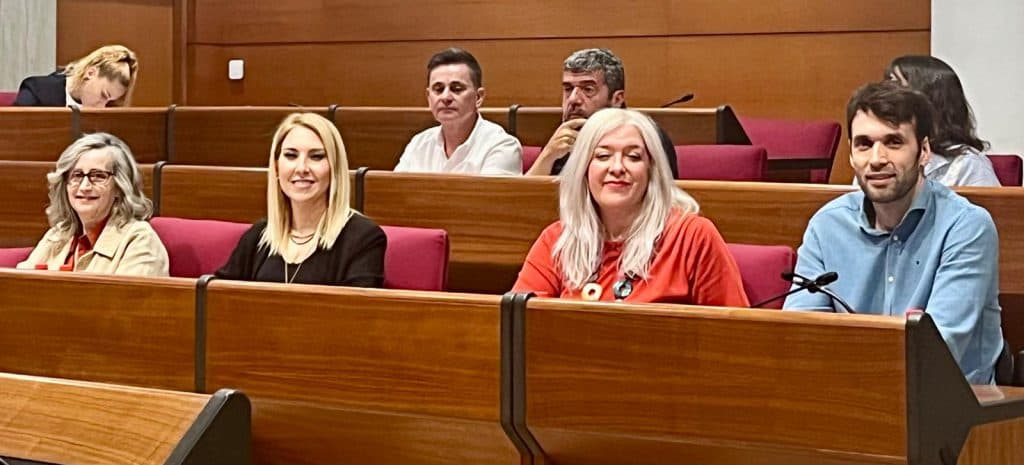 Lo socialistas lamentan que «el Gobierno municipal rechace las medidas clave para solucionar los problemas de la Residencia de San Luis»
