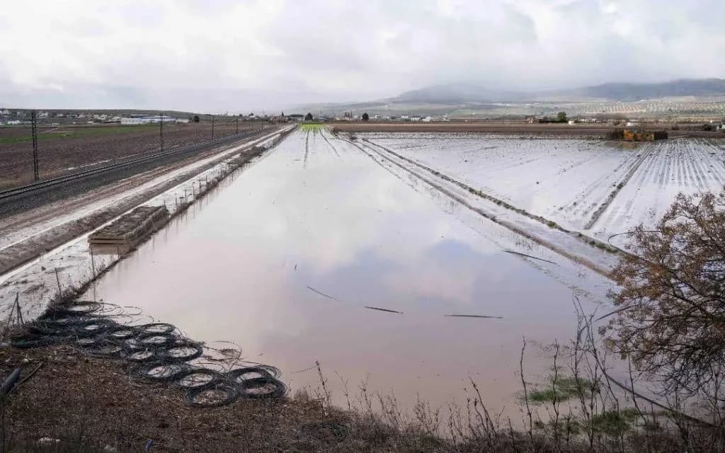 La Subdelegación culmina la tramitación de más de 281 millones de euros en ayudas para entidades locales por las borrascas