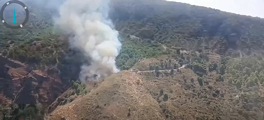 Incendio forestal en el municipio alpujarreño de La Taha