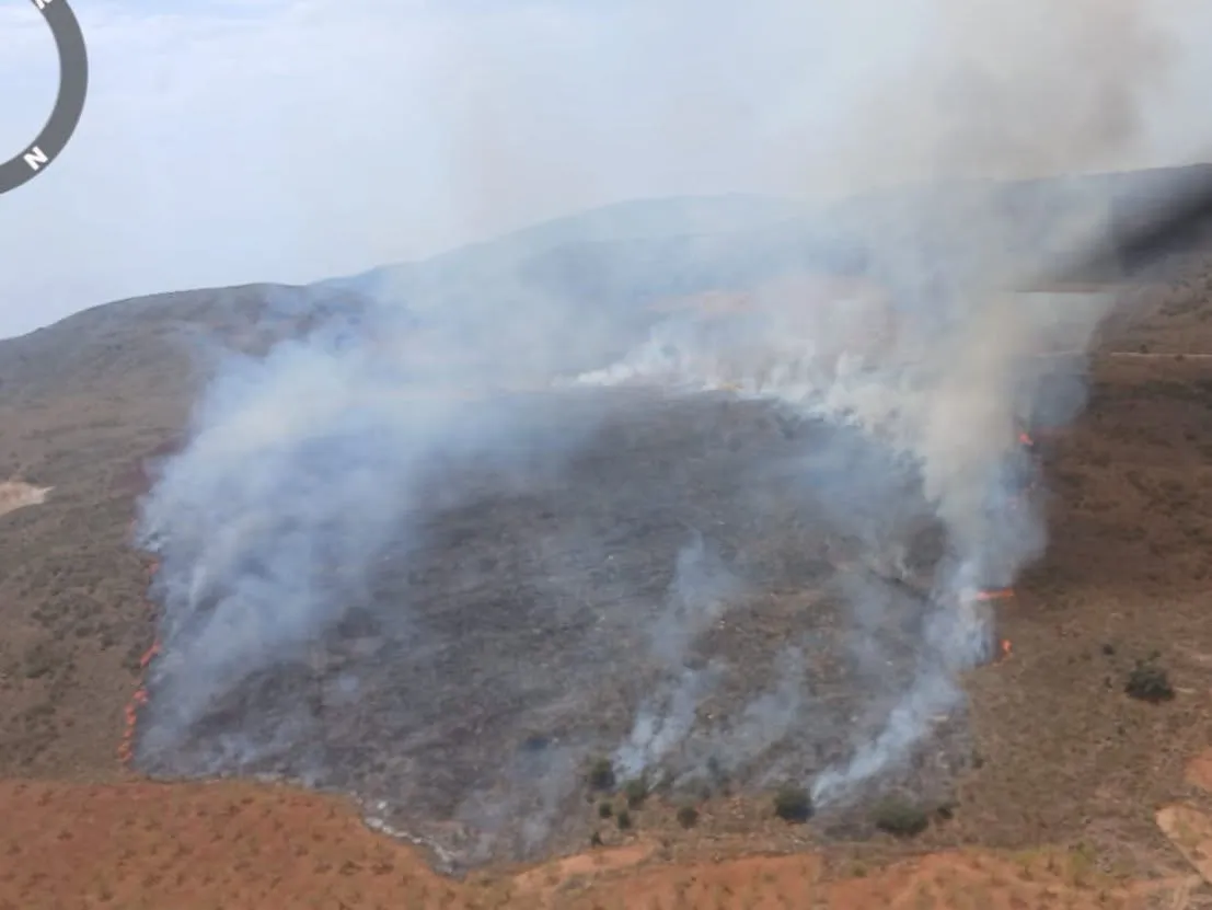Incendio forestal en la localidad alpujarreña de Turón