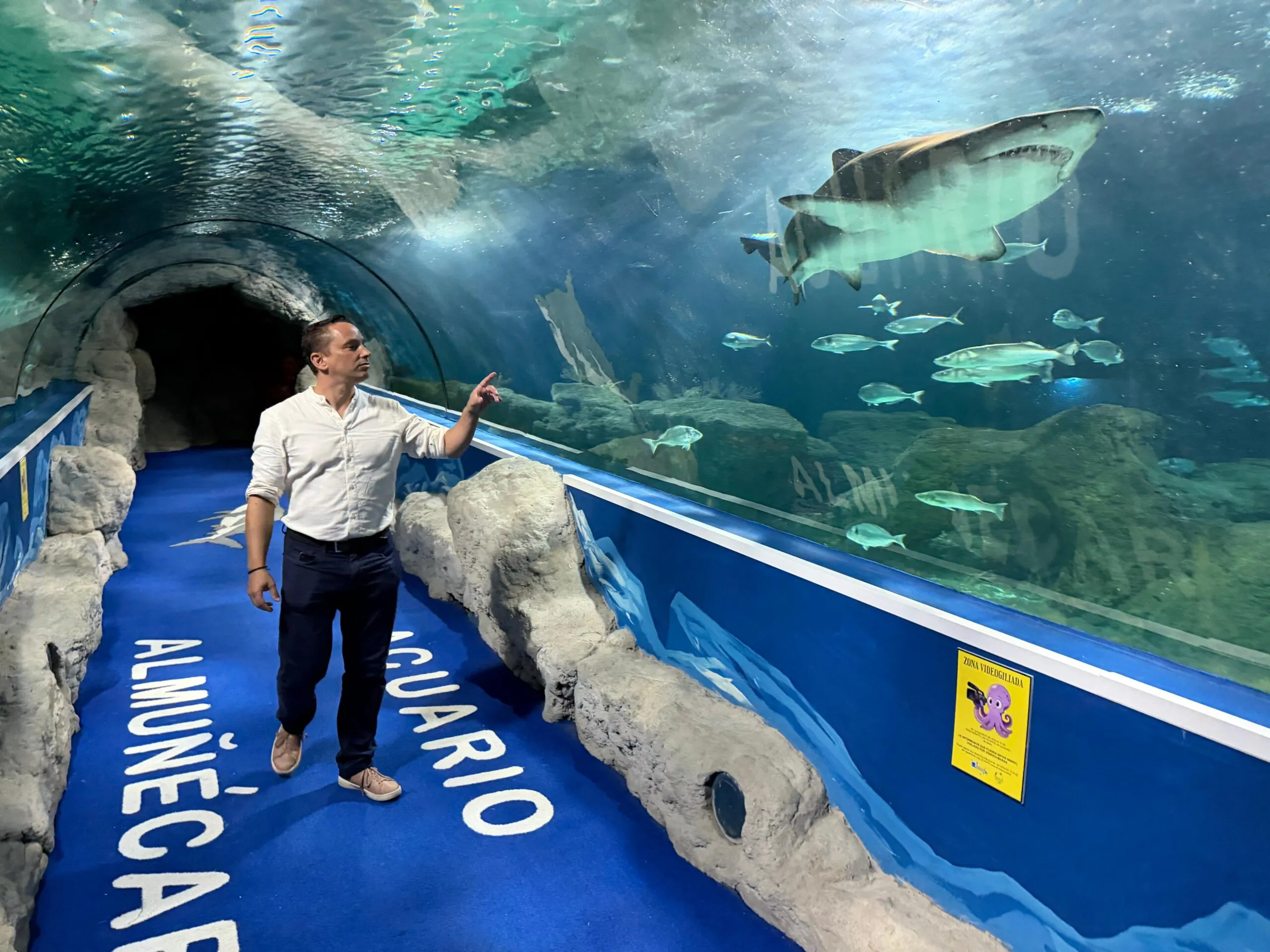 Más de 32.000 personas visitan el acuario de Almuñécar que aspira a ser «un referente en educación y conservación del medio marino»
