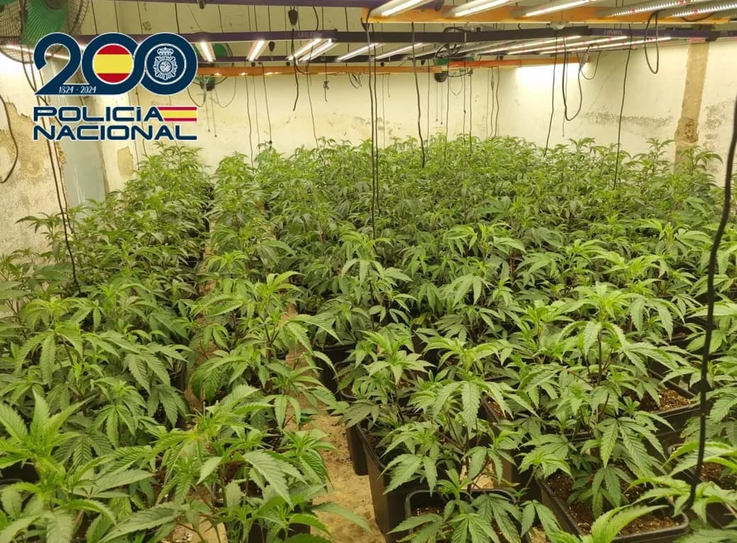 Desmantelada en Granada una plantación de marihuana instalada en un complejo hostelero abandonado incautando cerca de 1.400 plantas de marihuana