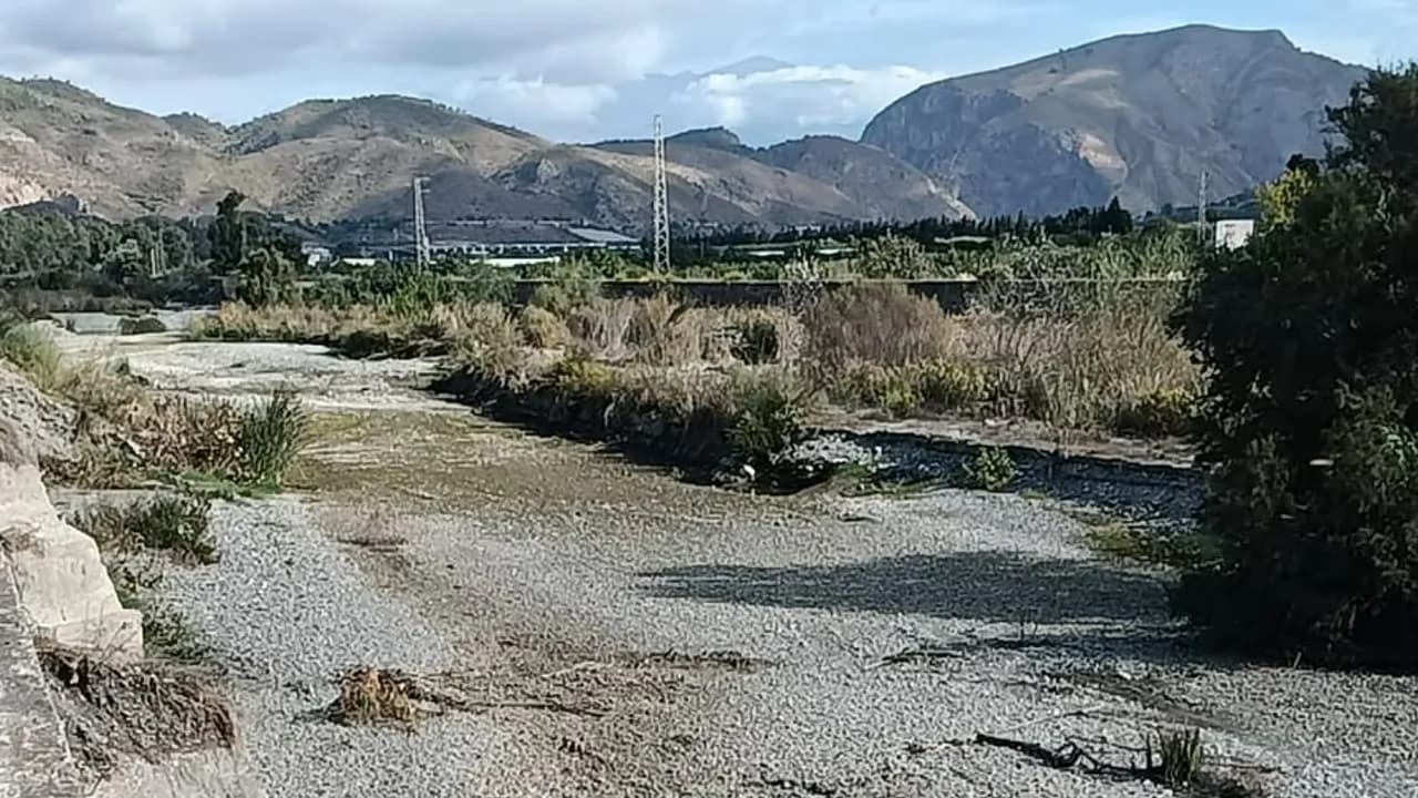 Salobreña denuncia la reducción del caudal del río Guadalfeo y la muerte de especies de peces en peligro de extinción