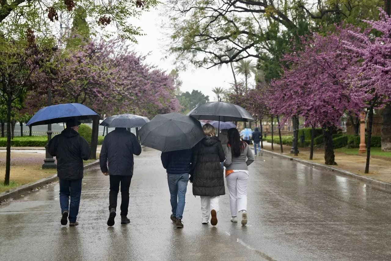 EL TIEMPO: La Junta activa la fase de preemergencia del Plan ante el Riesgo de Inundaciones por los avisos de lluvias y tormentas en Andalucía