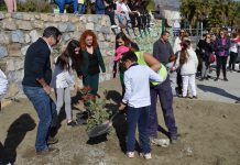 La celebración del Día de la Paz reúne a 700 alumnos en el Parque de la Libertad para comenzar con la plantación del ‘Bosque de los deseos’