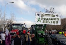 Los agricultores se manifestarán desde Motril al Puerto por «unos precios justos»