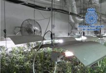 Detenido un presunto prestamista por extorsionar a un varón obligándole a dejar la vivienda en la que residía y utilizarla como plantación in door de marihuana