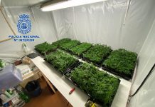 Desmantelado en Motril un centro de cultivo de marihuana a gran escala y detenidas tres personas