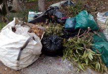 Medio Ambiente Salobreña recuerda que está prohibida la quema de residuos vegetales en zonas urbanas y urbanizables