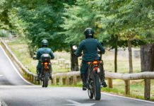 Investigan a dos individuos por el robo de 350 kilos de aguacates en Salobreña