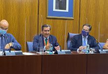 Entrena reivindica en el Parlamento andaluz el papel de las diputaciones contra la despoblación