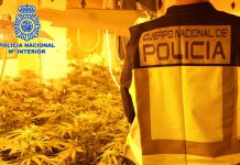 La Policía Nacional lleva a cabo la “Operación Palanquilla”, un amplio dispositivo contra el tráfico de marihuana en la zona norte de Granada