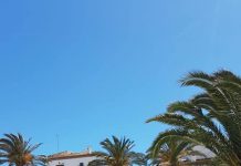 Motril da luz verde al proyecto para la promoción de 344 nuevas viviendas en Playa Granada