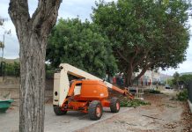 Parques y Jardines realiza una poda integral en el anejo de Lobres