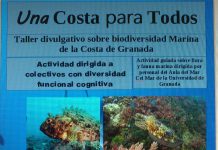 Salobreña suma a sus actividades medioambientales, limpieza de fondos y talleres divulgativos para personas con diversidad funcional