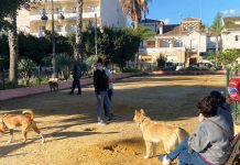 Almuñécar pretende habilitar un nuevo parque canino en la zona de San Cristóbal