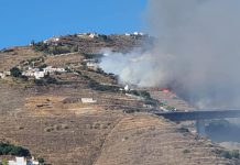 El paraje de la Loma del Gato de Almuñécar vuelve a arder otra vez