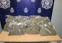 Octubre se saldó con 23 operaciones y 30 detenciones en Granada, Motril y Baza por cultivo de droga