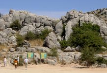 Desarrollo Sostenible licita la gestión de 17 equipamientos de recepción de visitantes en Espacios Naturales de Andalucía por 1,3 M€