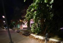 El PSOE traslada las quejas ciudadanas por falta de limpieza y seguridad en la Huerta de la Condesa y la pista de skate del Parque de los Pueblos de América