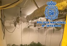 Gestionaban un punto de cultivo de marihuana situado en los bajos de un chiringuito de playa