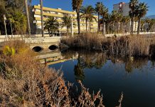 El PSOE alerta de la formación de grandes balsas de agua en la Playa de Poniente