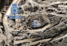 Detienen a dos atracadores después de protagonizar un robo en una gasolinera del cinturón de Granada