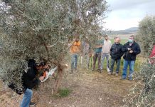 Formación práctica para los agricultores