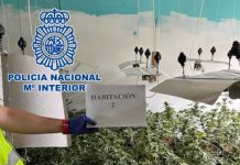 La Policía Nacional ha realizado durante el mes de agosto 20 operaciones en Granada y Motril que se han saldado con 20 detenciones