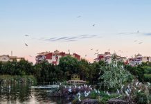 Abierto el plazo de licitación para las obras de la Charca de Suárez y la casa de la Juventud y Formación y Empleo de Motril