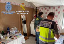 Detenidos en Granada dos peligrosos atracadores en una operación conjunta de la Policía Nacional y la Guardia Civil