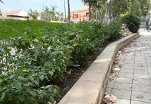 El PSOE reclama la limpieza de los espacios públicos del barrio de Capuchinos