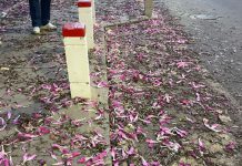 El PSOE llama la atención sobre el estado de abandono en que se encuentra el barrio de La Fabriquilla