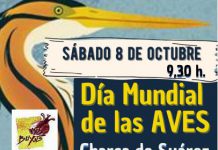 Día Mundial de las Aves: La Asociación Buxus organiza actividades abiertas a todos los interesados