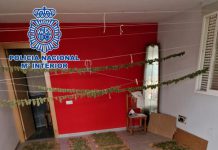 La policía desmantela una plantación exterior de marihuana a gran escala en Motril y detiene a sus presuntos responsables