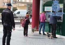 Detenida una cuidadora como responsable de una estafa bancaria cometida sobre una octogenaria granadina